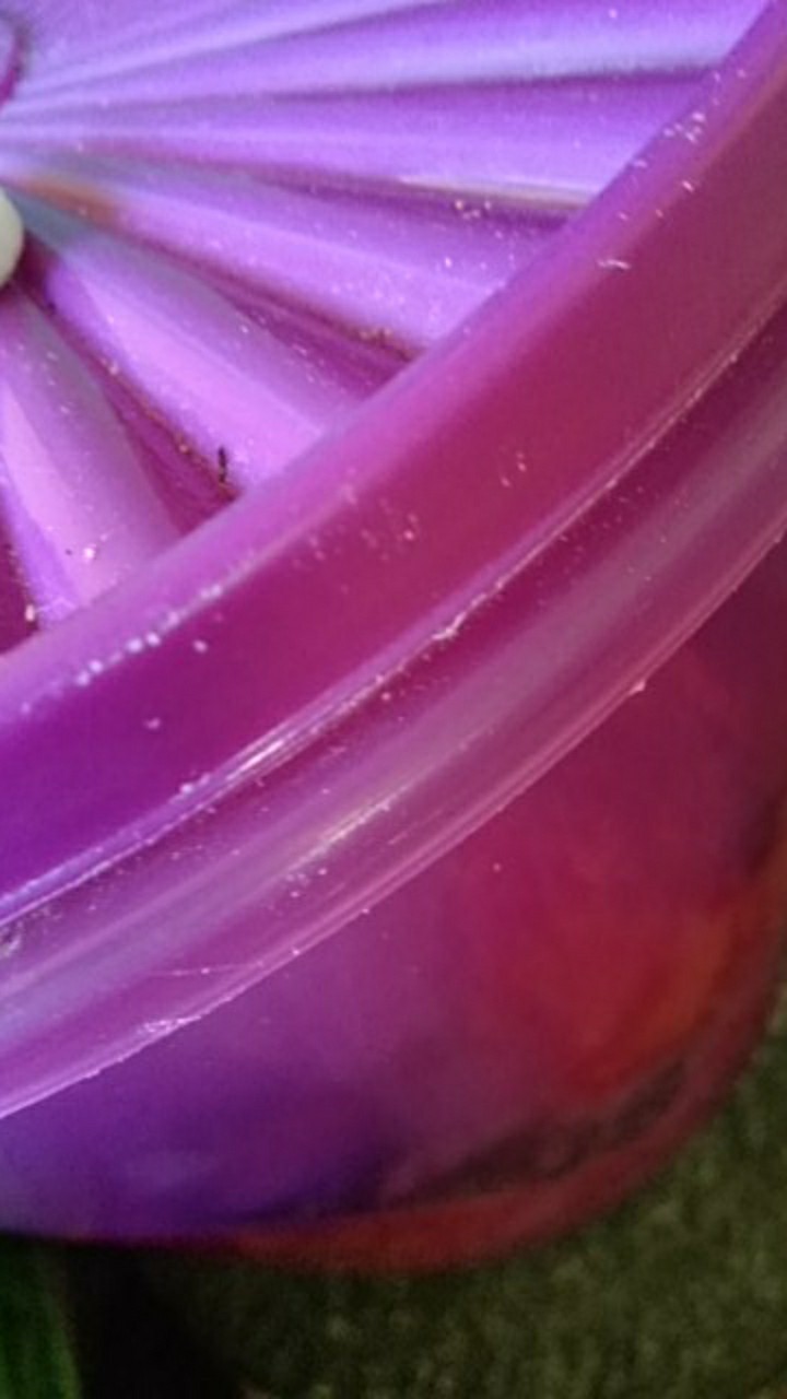 Minyak Goreng Tropical 2l/ Sania 2l/ Kunci Mas 2l/ Filma 2l/bimoli 2l/rosebrand 2l/sedaaap