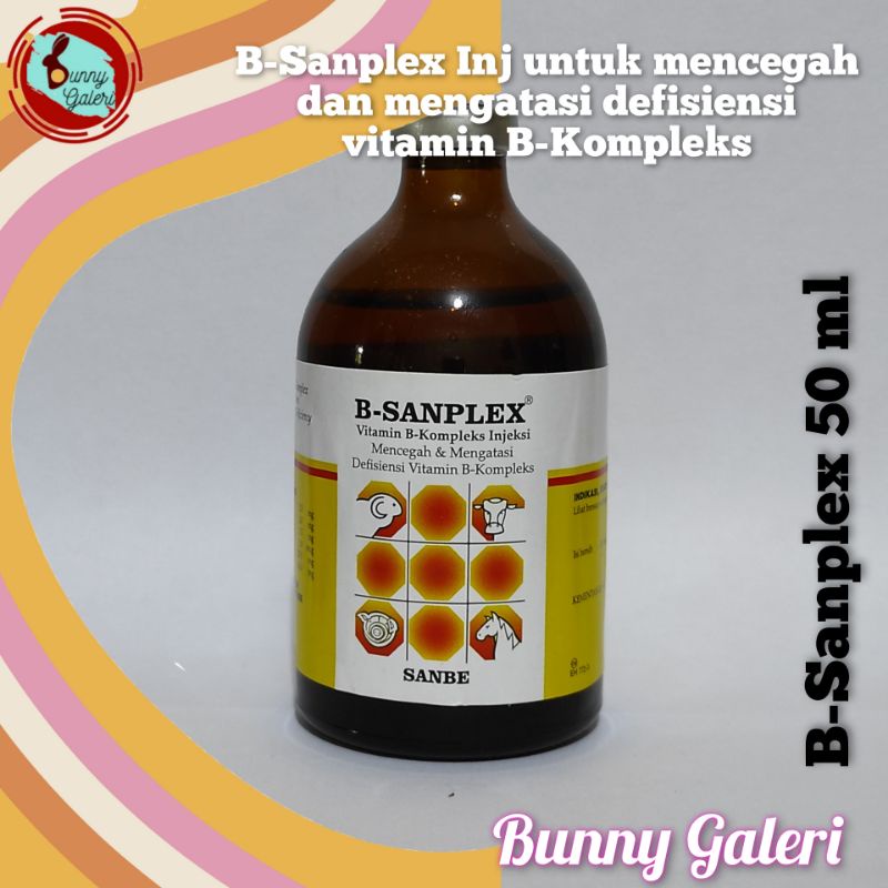 Jual B-SANPLEX 50 Ml Untuk Mengatasi Dan Mencegah Defisiensi Vitamin B ...