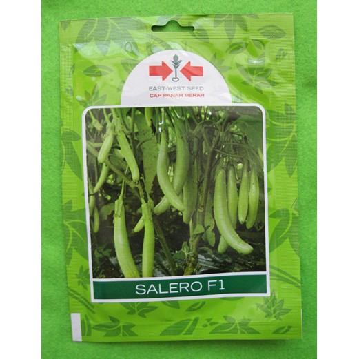 Benih Terong Panjang Hijau Telunjuk Salero Pack