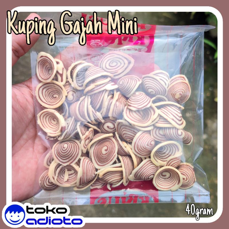 

Kuping Gajah Mini / Kupung Gajah Kecil / Kuping Gajah Putih