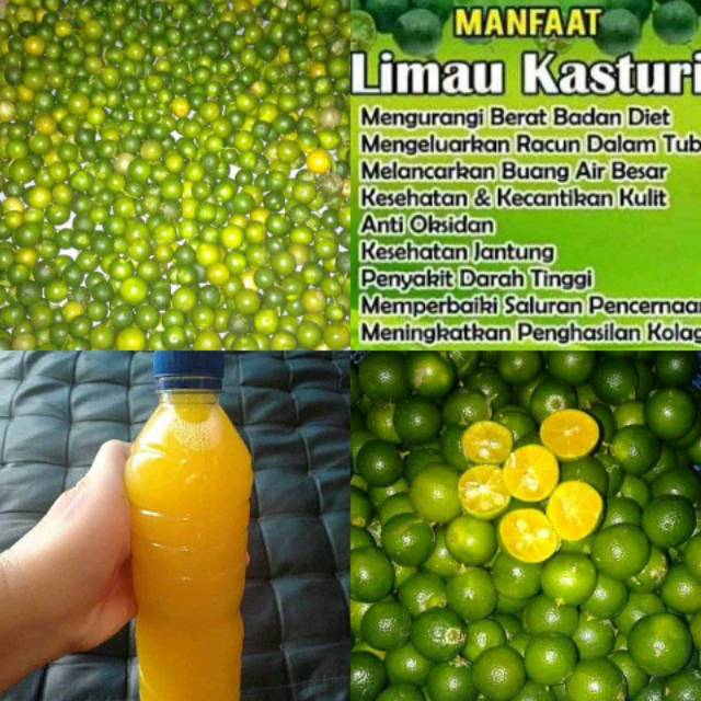 

Jeruk Limau kasturi jeruk kunci jeruk peras 1 kg