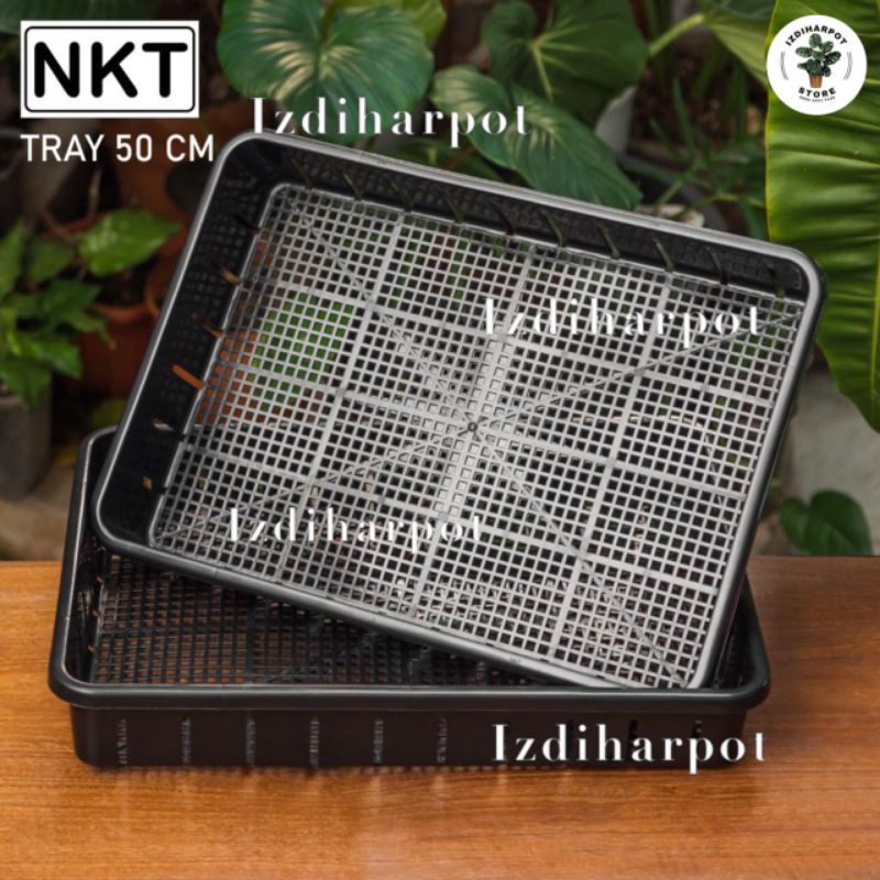 Tray pot untuk semai bibit hidroponik 50cm - TRAY POT NKT 50CM