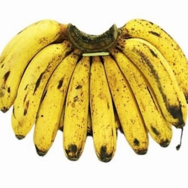 

Pisang Barangan 1 Sisir