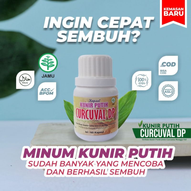 Jual Kunyit Putih Kunir Putih Obat Herbal Gondok Tiroid Benjolan Dileher Kelenjar Getah Bening 6707