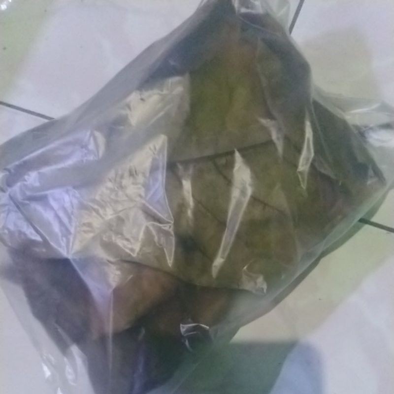 daun ketapang fermentasi / daun ketapang cupang / daun ketapang laut / daun ketapang