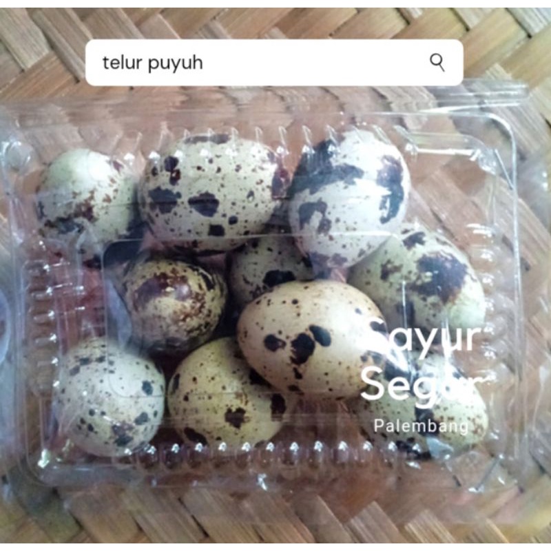 

Telur Puyuh Per 50 Gr