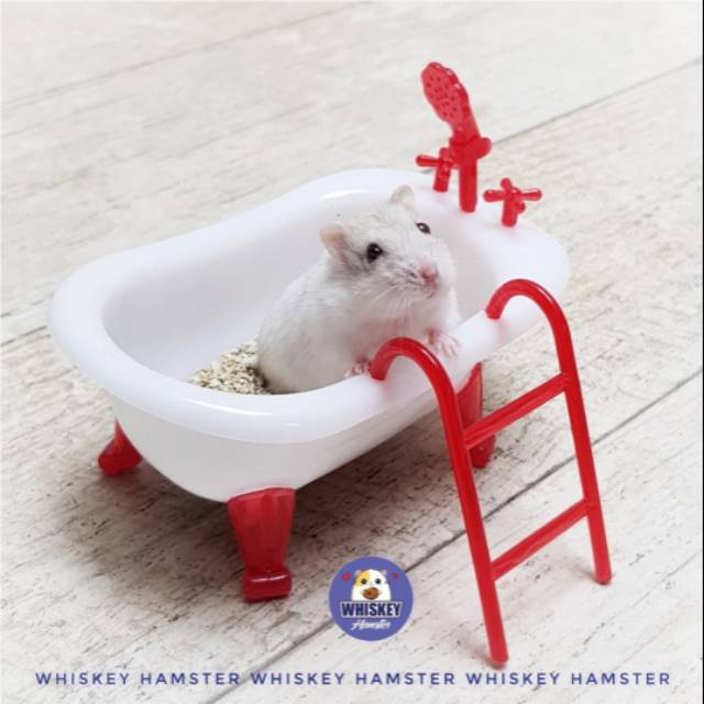 Tempat mandi bath up hamster