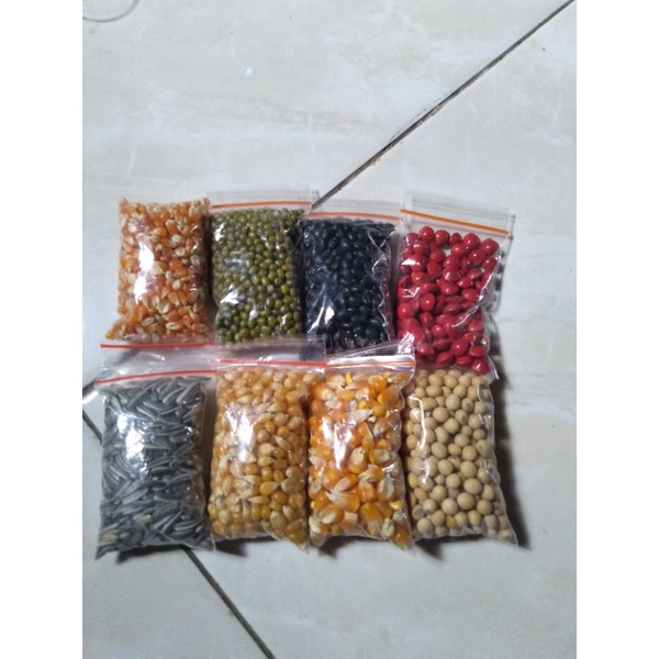 8 Macam Biji Bijian Bahan Kolase