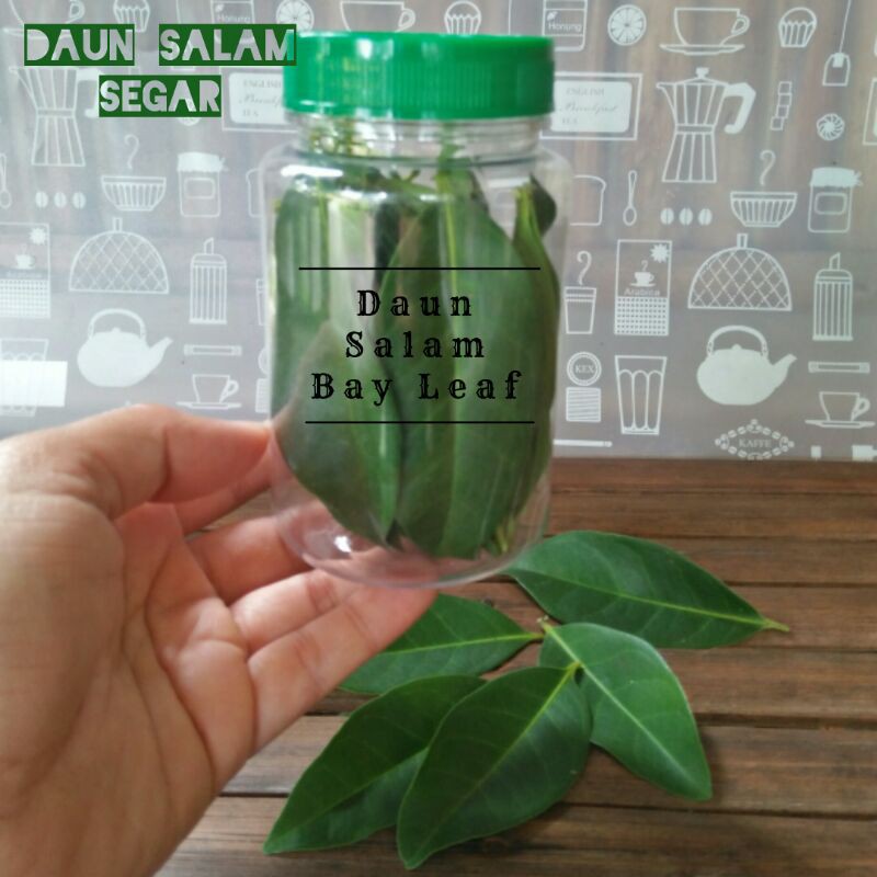 

Daun Salam Segar 30 lbr/Bersih Siap Pakai