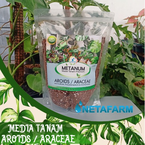 METANUM Media Tanam Premium AROIDS ARACEAE PHILODENDRON AGLONEMA - 2000 ml