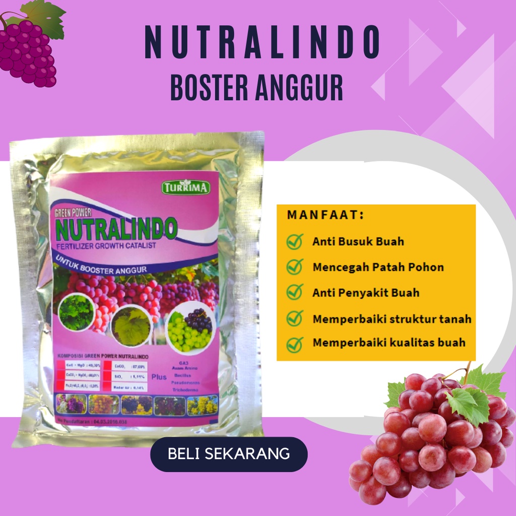 Jual Boster Anggur Pohon, Boster Anggur Brazil, Booster Anggur Cepat ...