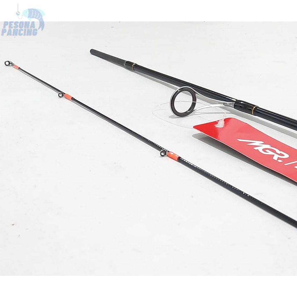 Joran Pancing MAGURO BALLISTA FG CLAN-XR Ultra Light RING FUJI