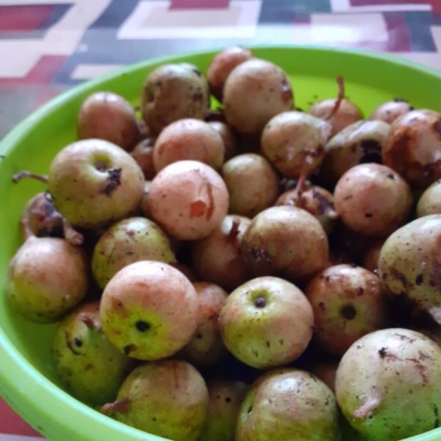 

promo buah kondang gondang 500gr