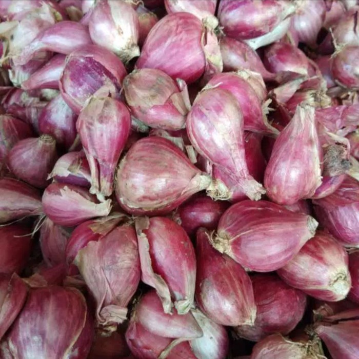 

Siap Kirim Bawang Merah Brebes Premium - 500Gram