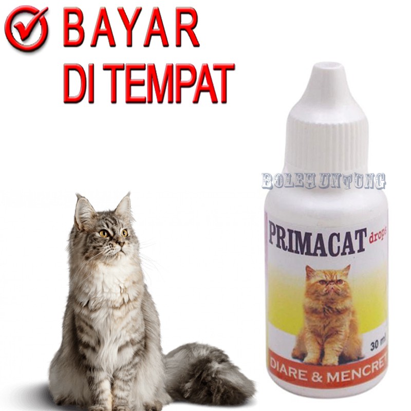 PRIMACAT OBAT DIARE MENCRET KUCING SAKIT PERUT PENCERNAAN BAB