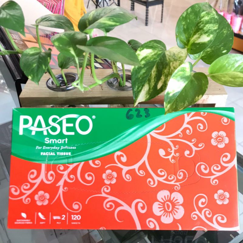 Tissue Paseo Smart Box 120 Sheets 2 Ply