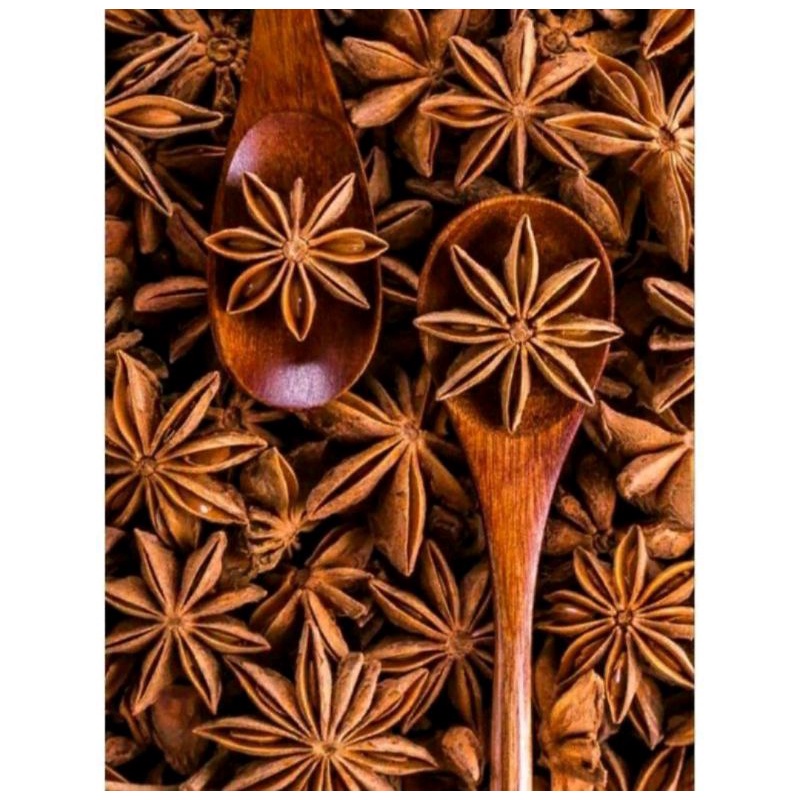 

BUNGA LAWANG / PEKAK / STAR ANISE / REMPAH
