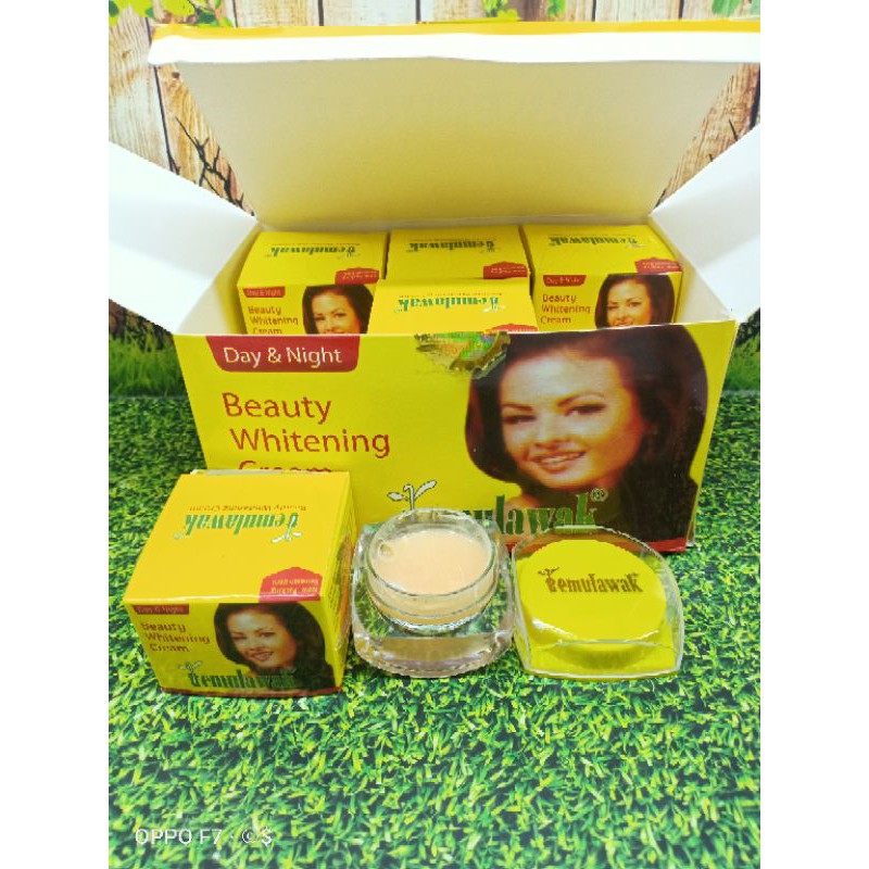 ( 12 Pcs ) Cream Temulawak Beauty//CREAM TM KACA