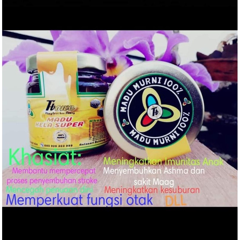 

Madu Trigona