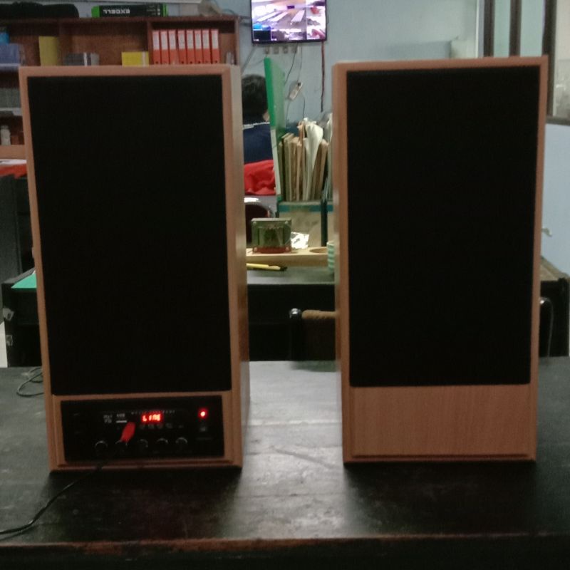 TAVtron Aktif Speaker Bluetooth mp3 Player Kareoke