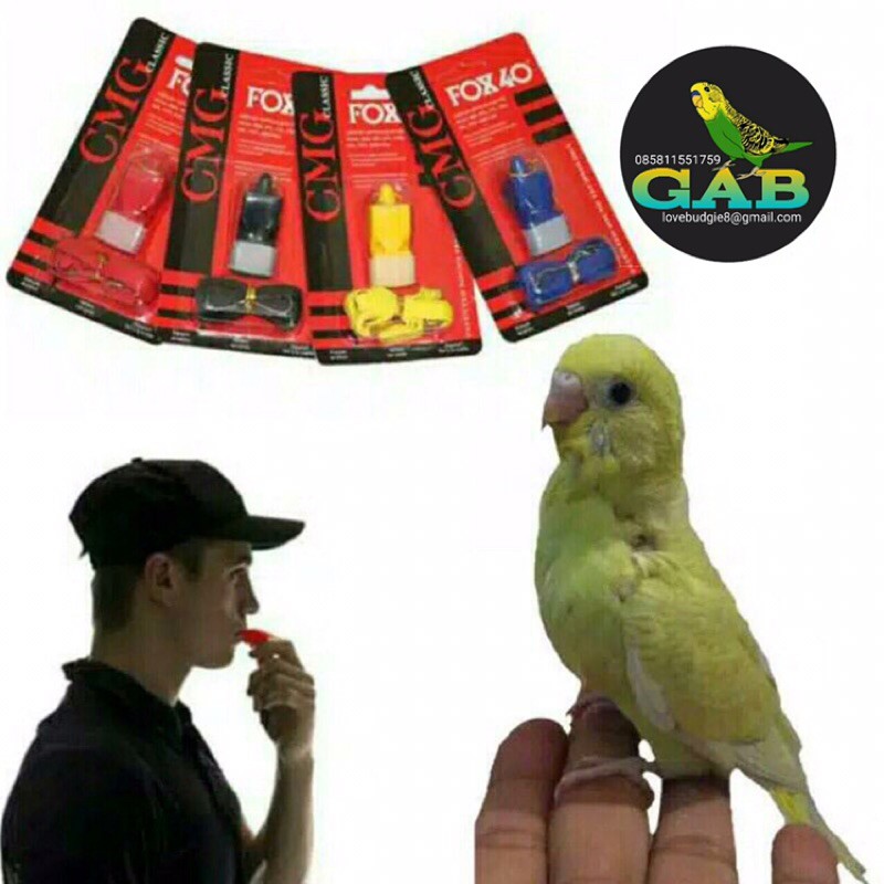 PLUIT FOX 40 ORI / PLUIT BURUNG / PLUIT HEWAN