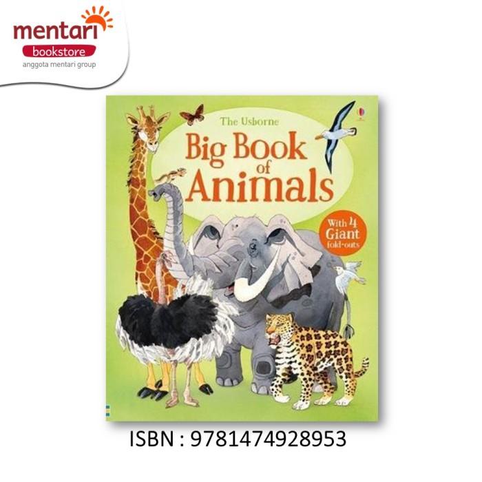 Sun The Usborne Big Book Of Animals