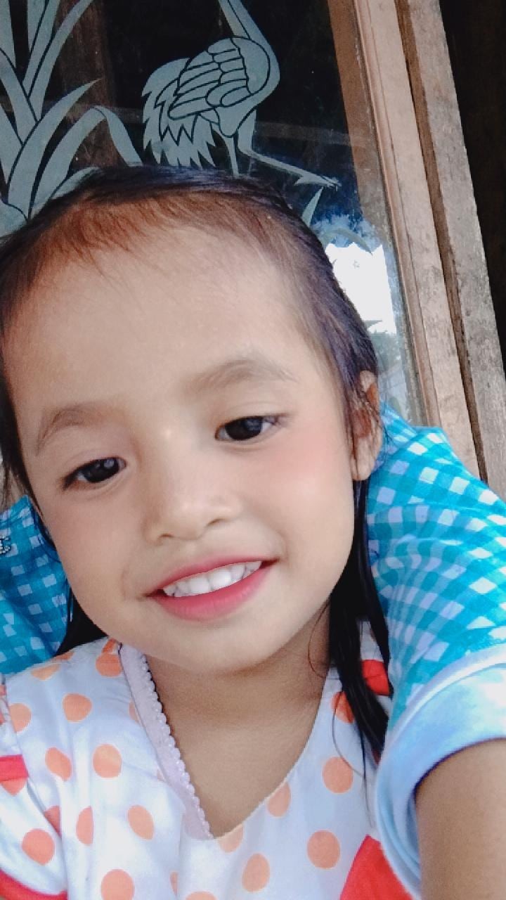 Kelambu Lipat Kelambu Butterfly Kelambu Tenda Kelambu Nyamuk Selambu Lipat Selambu Tenda #kelambu