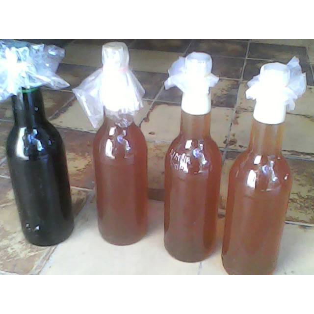 

Madu, Madu Ternak, Madu Murah, Madu Asli