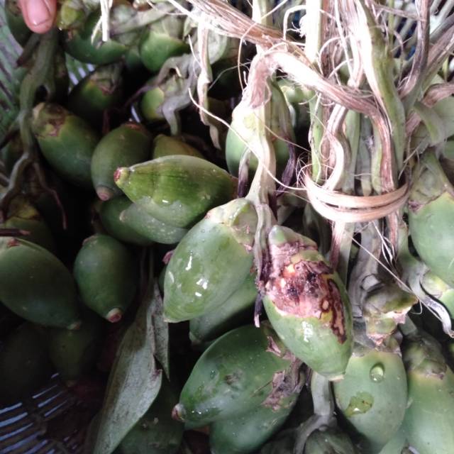 

Buah Pinang / pining /Jambe per ikat