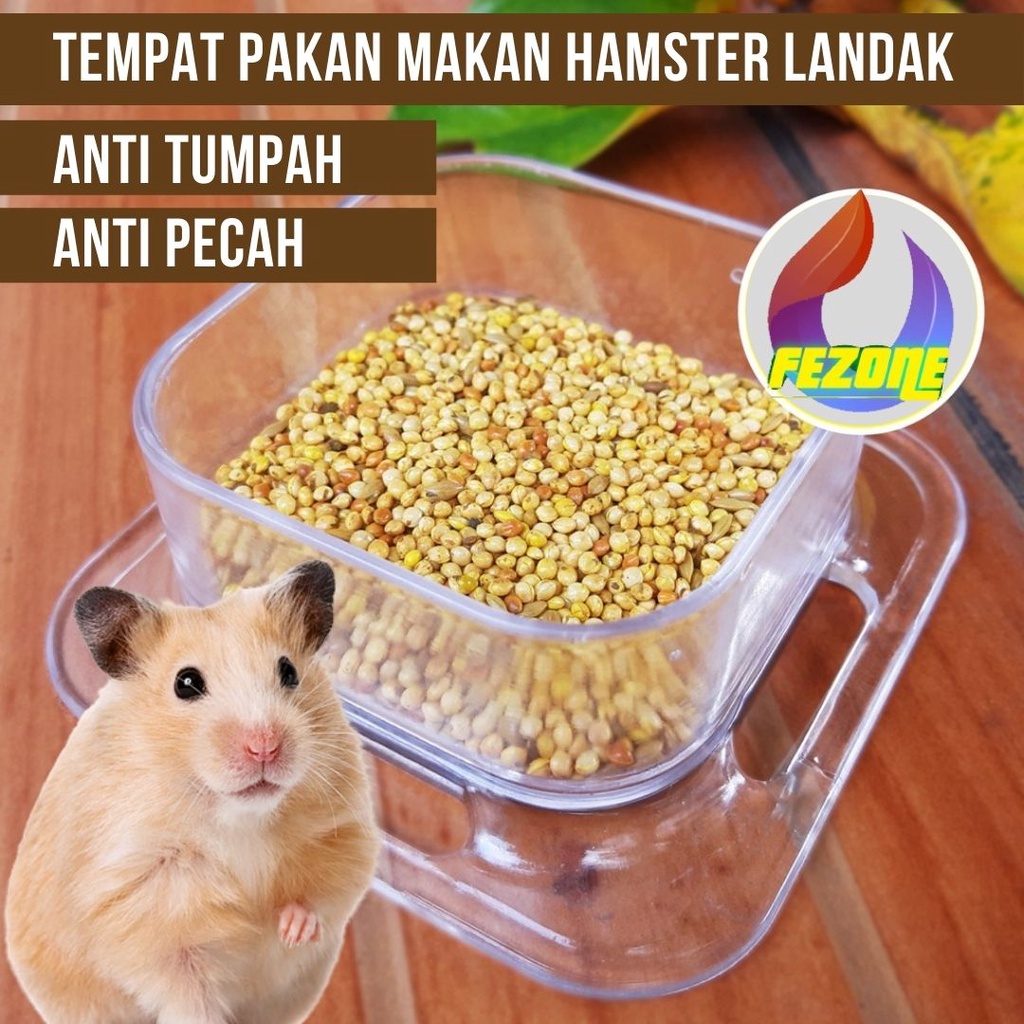 Tempat Makan Hamster Tempat Makan Landak Mini Akrilik Transparan FEZONE