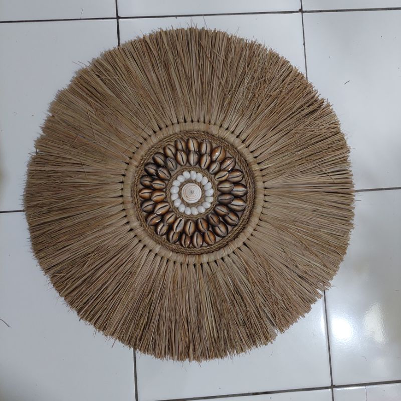 Juju Rumput kerang 50cm