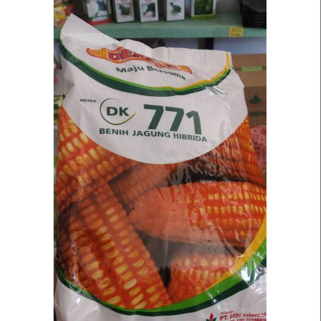 1kg benih jagung DK 771