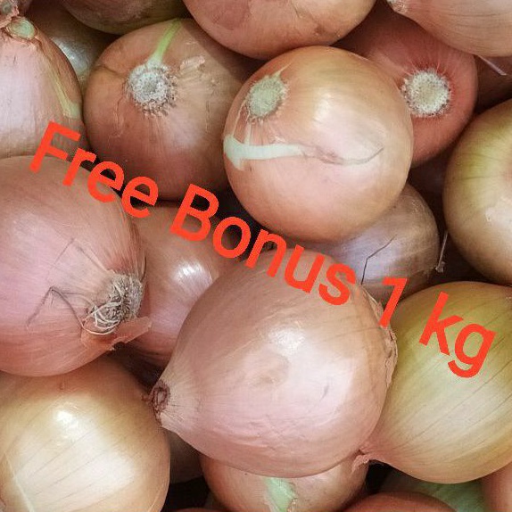 

Bawang Bombay 250gr + Gratis Bonus