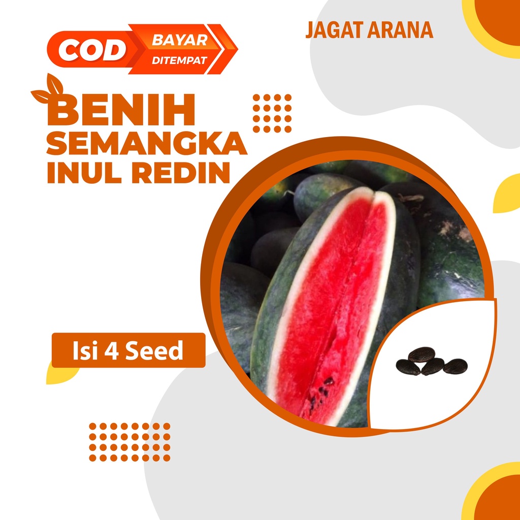 Benih Semangka Inul merah Redin