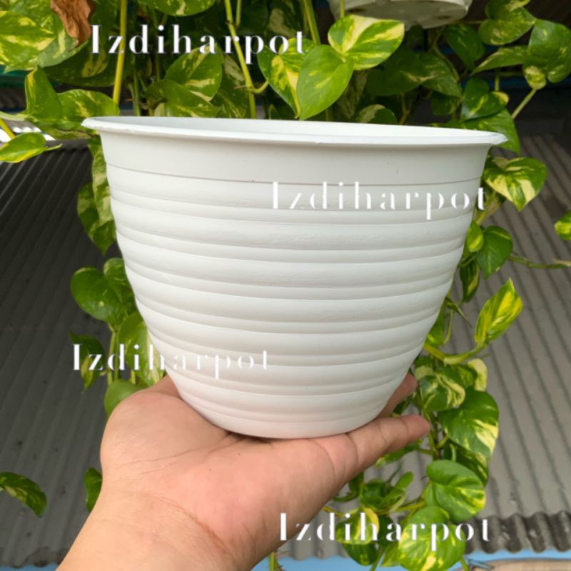 pot bunga tanaman mdn putih 18cm model tawon - MDN