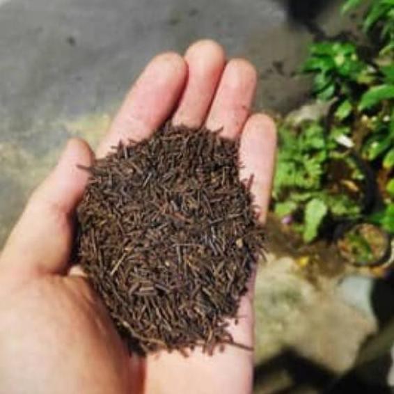 

-71 Pakis Cacah Halus Oven PREMIUM 500gr ❆