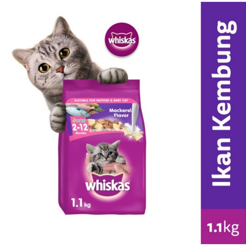 Whiskas Junior Dry food 1,1 kg