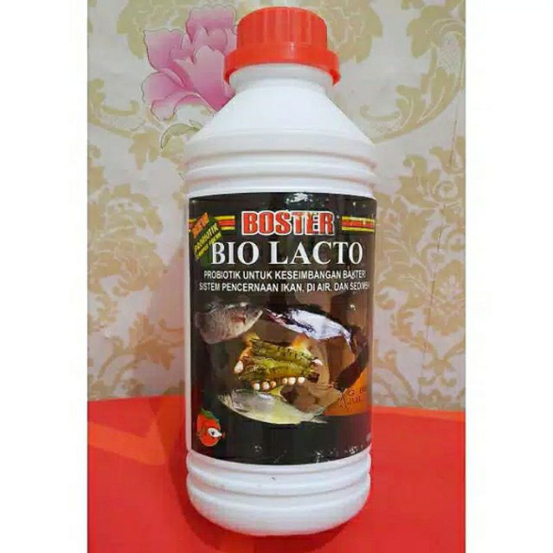 BOSTER PROBIOTIK BIO LACTO PROBIOTIK LACTOBACILUS CAMPUR PAKAN IKAN 1 LITER