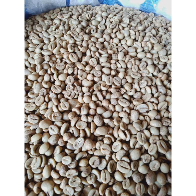 

Greenbean Robusta asalan sortasi Temanggung