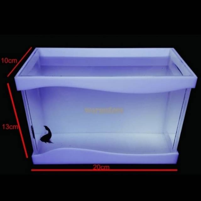 Soliter cupang/soliter akrilik/aquarium guppy/aquarium akrilik/aquarium mini