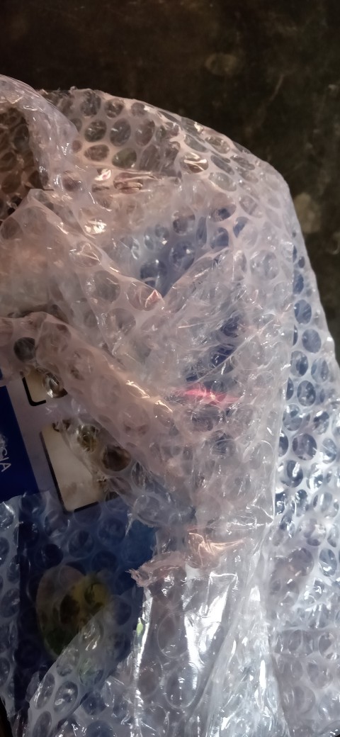 Teko Siul - Ceret Bunyi - Whistling Kettle Stainless Steel 2.5 Liter Q2 8025