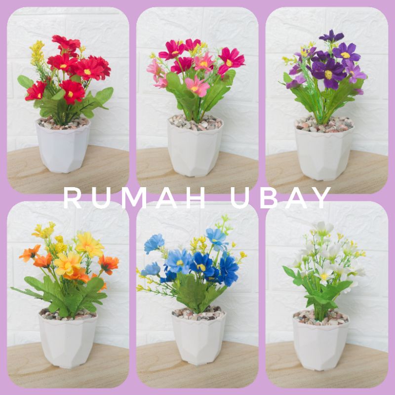 [COD]BUNGA MINI + POT UNTUK HIASAN RAK DINDING