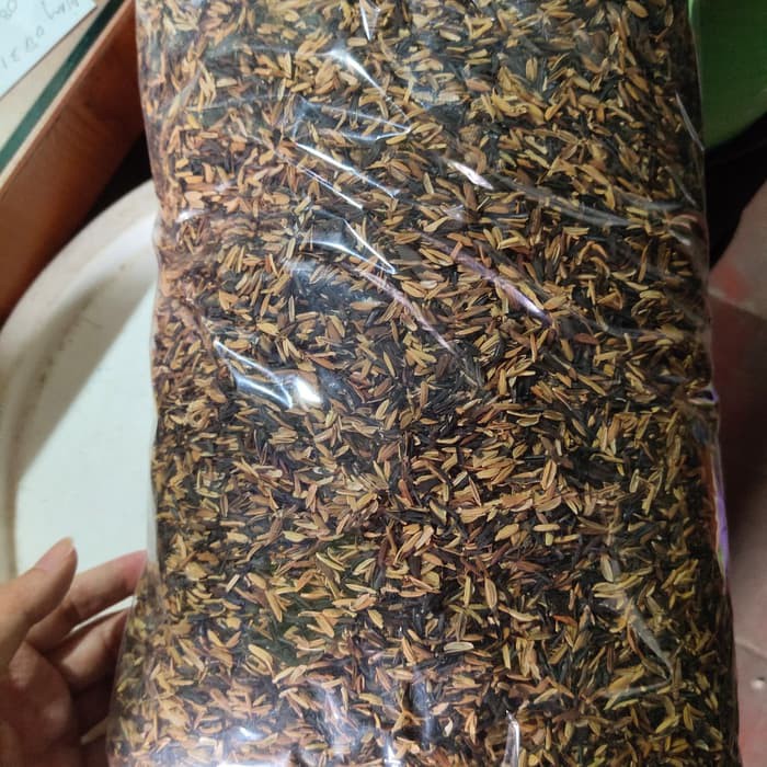 Sekam Padi Bakar
