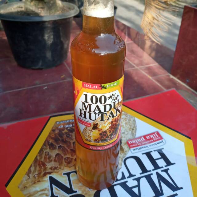 

Madu hutan pulau sumatra asli 100%
