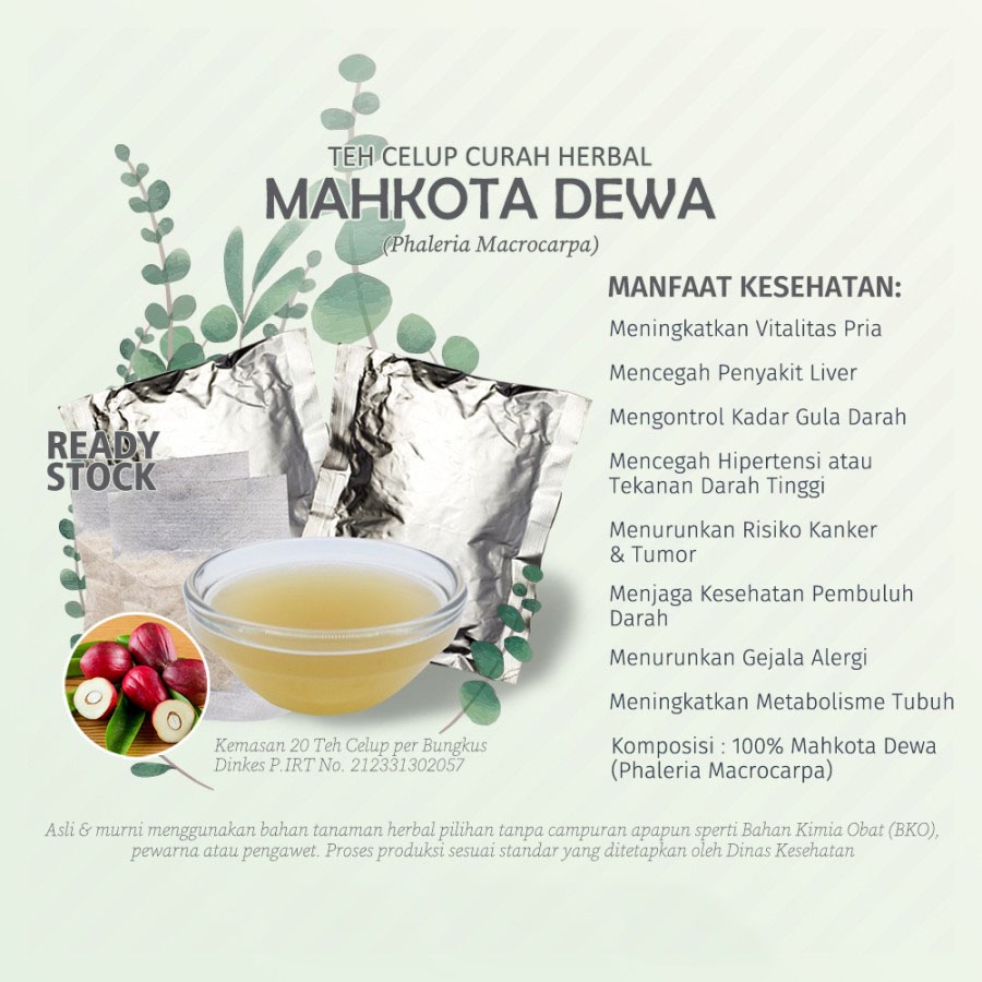 

Teh Celup Herbal MAHKOTA DEWA (Phaleria Macrocarpa) untuk Eksim, Bisul, Liver dan Vitalitas