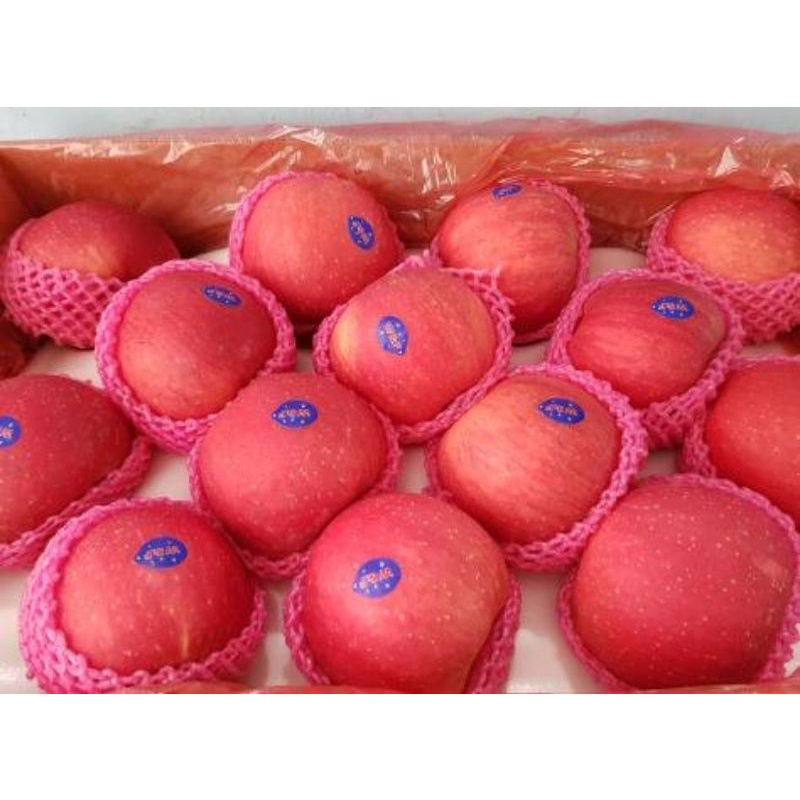 

Apel Fuji Rosy blush