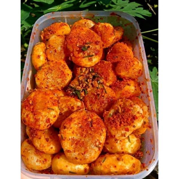 

cipak koceak