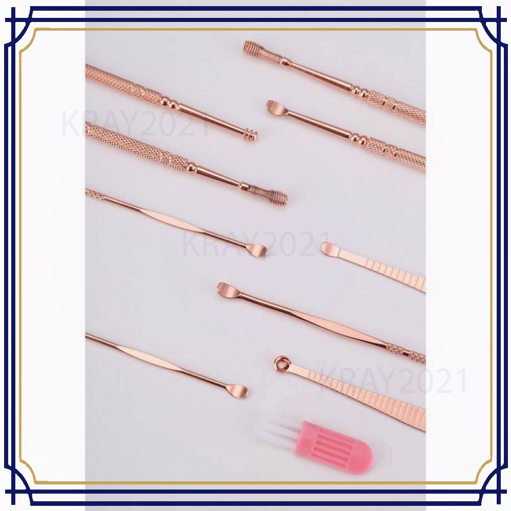 Set Pembersih Telinga Korek Kuping Ear Spoon Tool 10 PCS - HL440