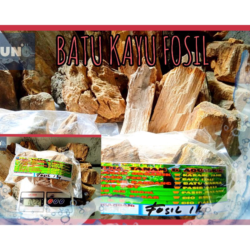 Batu Fosil Kayu ® 1Kg