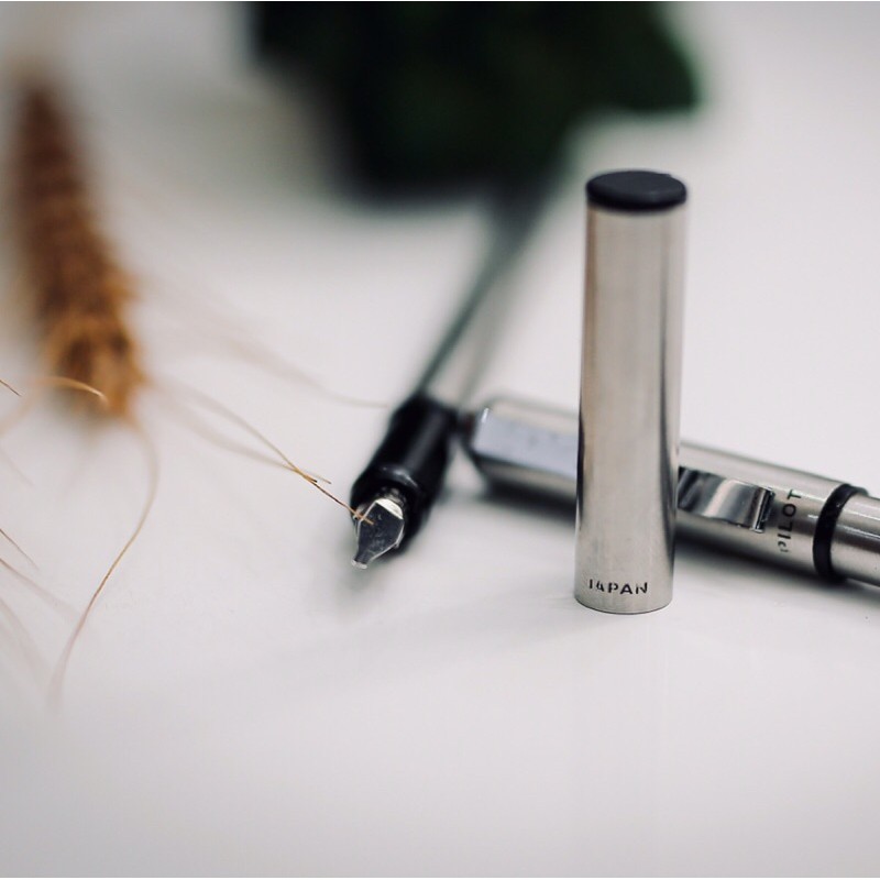 

pilot fountain pen stillografica